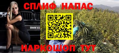 шишки Волгодонск