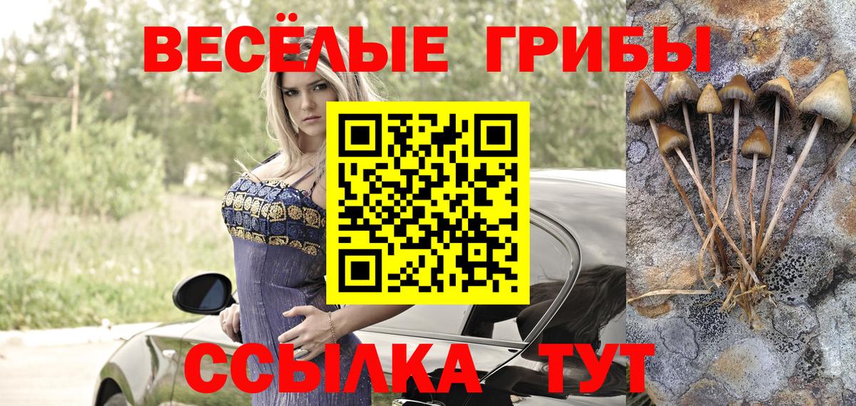 Псилоцибиновые грибы ЛСД  Вход с VPN  Гурьевск  Псилоцибиновые грибы ЛСД 