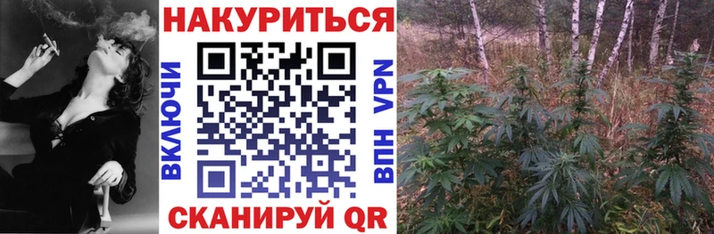 наркошоп  Гурьевск  Марихуана SATIVA & INDICA 